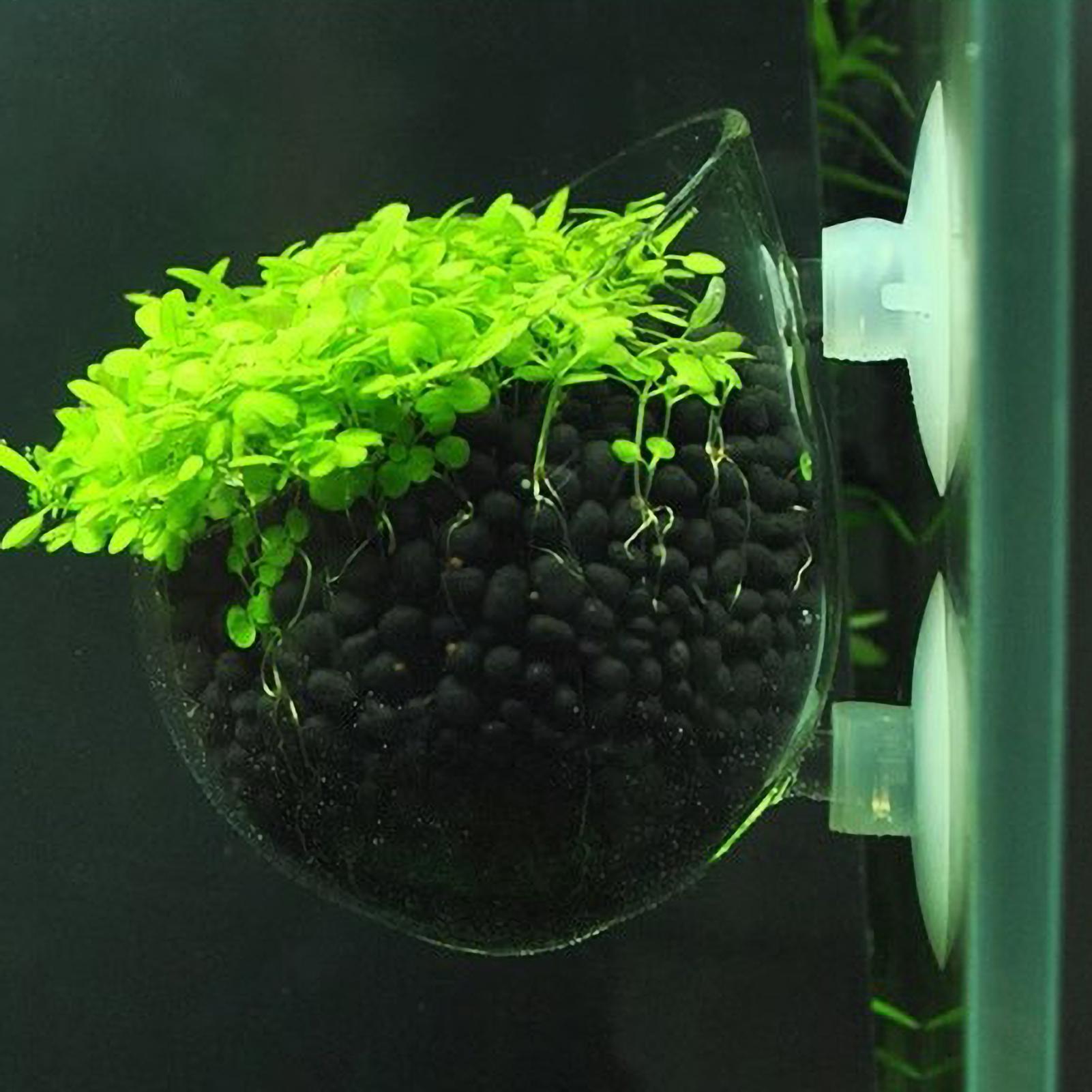 Aquarium Plant Growing - Suporte de Plantas para Aquário, Vaso