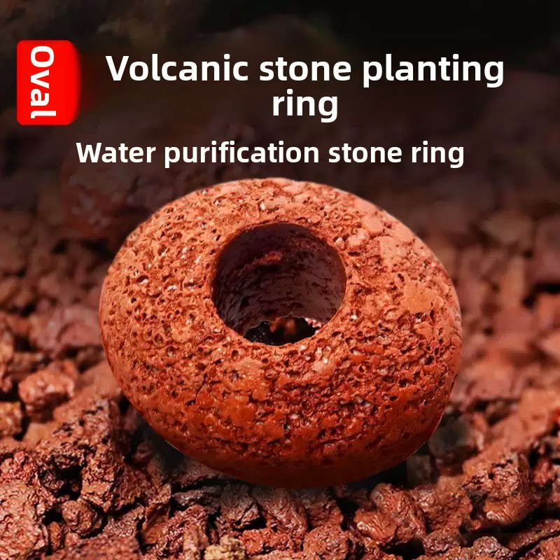 Planted Aquarium Care - Anel de Plantio de Rocha Vulcânica