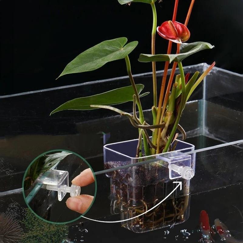 Aquarium Plant Easy To Grow - Suporte Transparente Pendurável para Plantas de