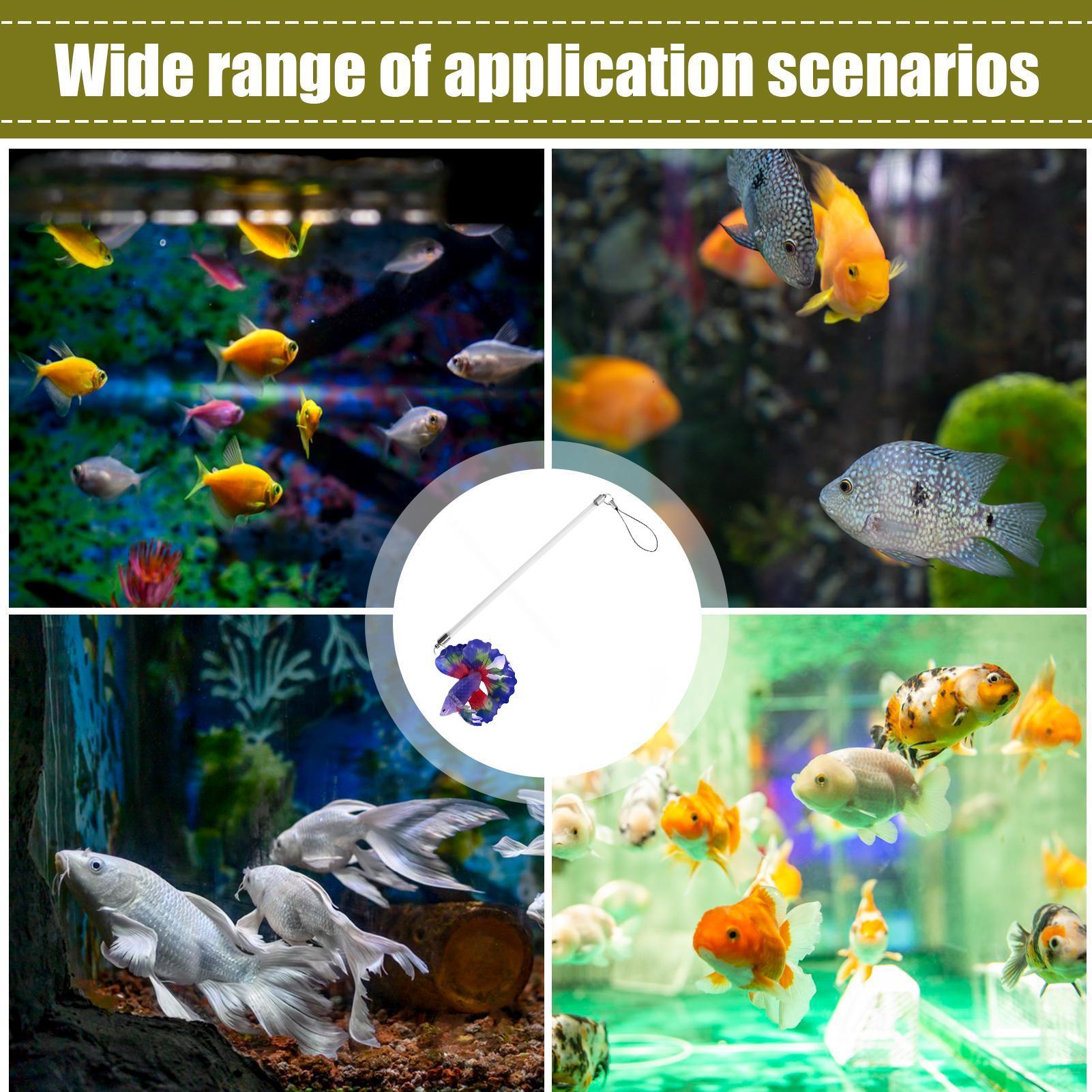 Planted Aquarium For Beginners - Varinha de Treinamento para Peixes, Jogo