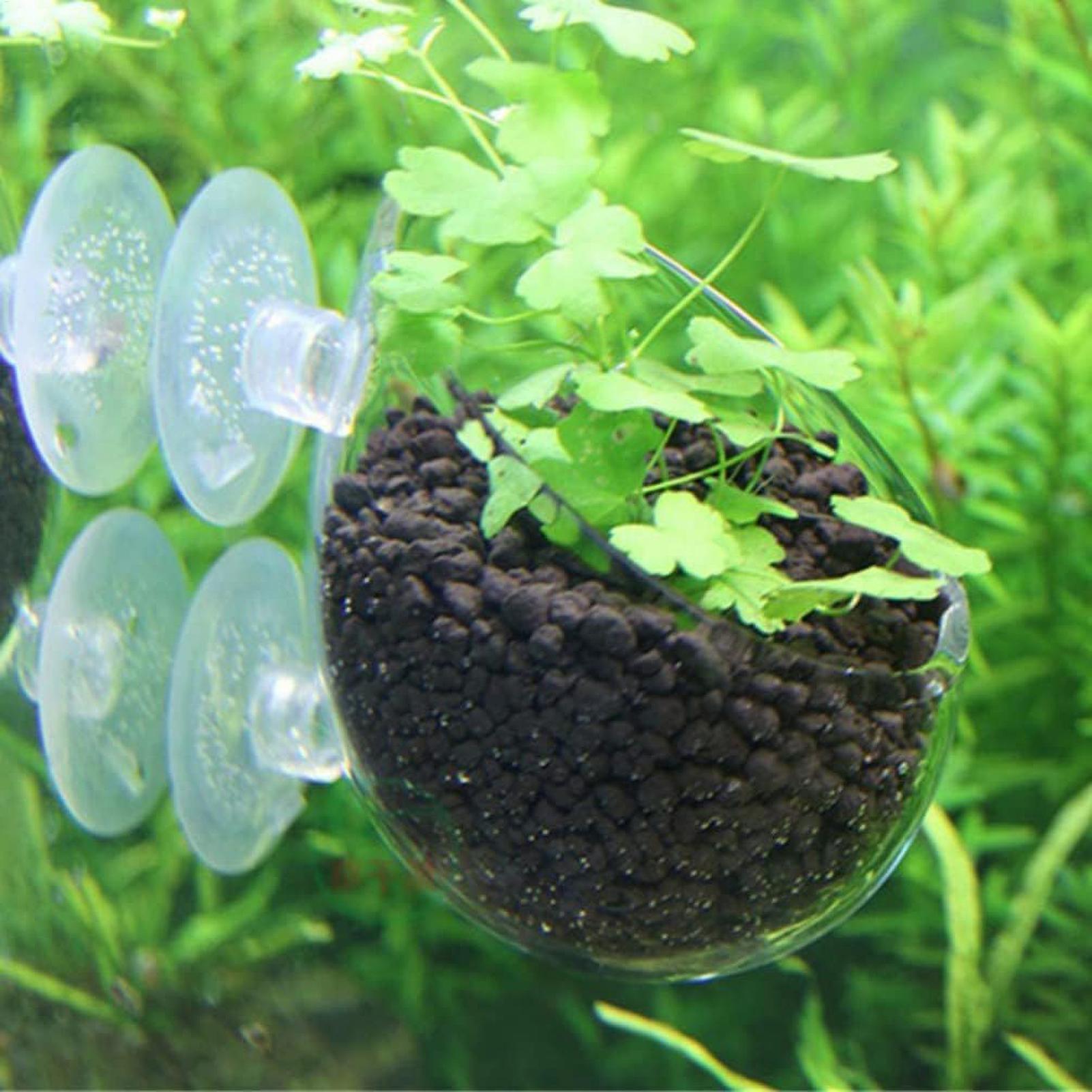 Suporte de Plantas para Aquári - Aquarium Plant Growing avaliação e preço