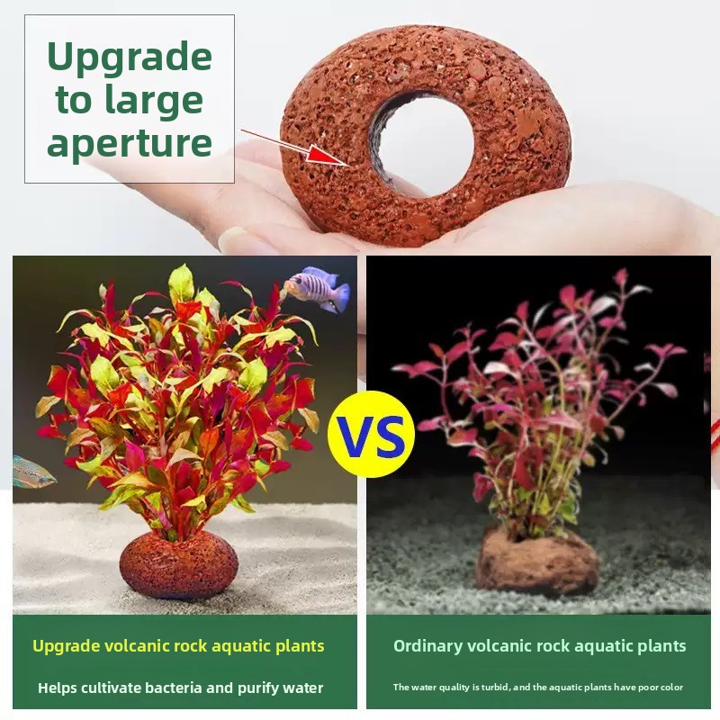 Anel de Plantio de Rocha Vulcâ - Planted Aquarium Care avaliação e preço