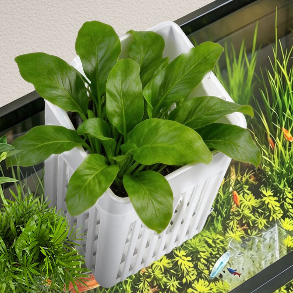 Cesto de Plástico Multifuncion - Aquarium Plant Easy To Grow avaliação e preço