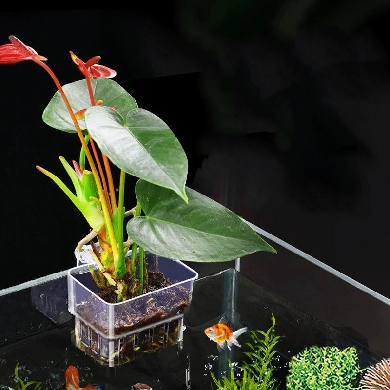 Suporte Transparente Penduráve - Aquarium Plant Easy To Grow avaliação e preço