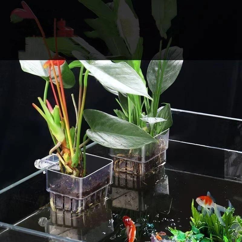 Suporte Transparente Penduráve - Aquarium Plant Easy To Grow avaliação e preço