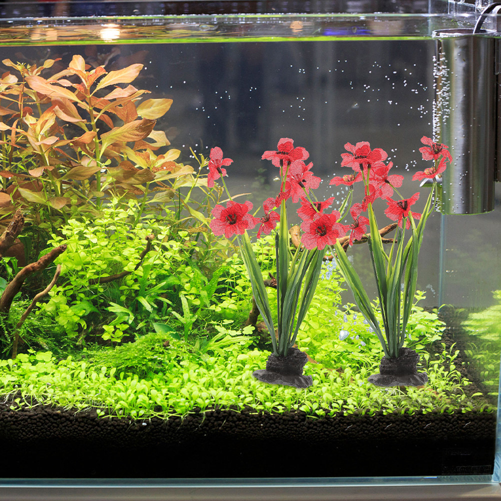 3 peças de plantas aquáticas d - Planted Aquarium For Beginners avaliação e preço