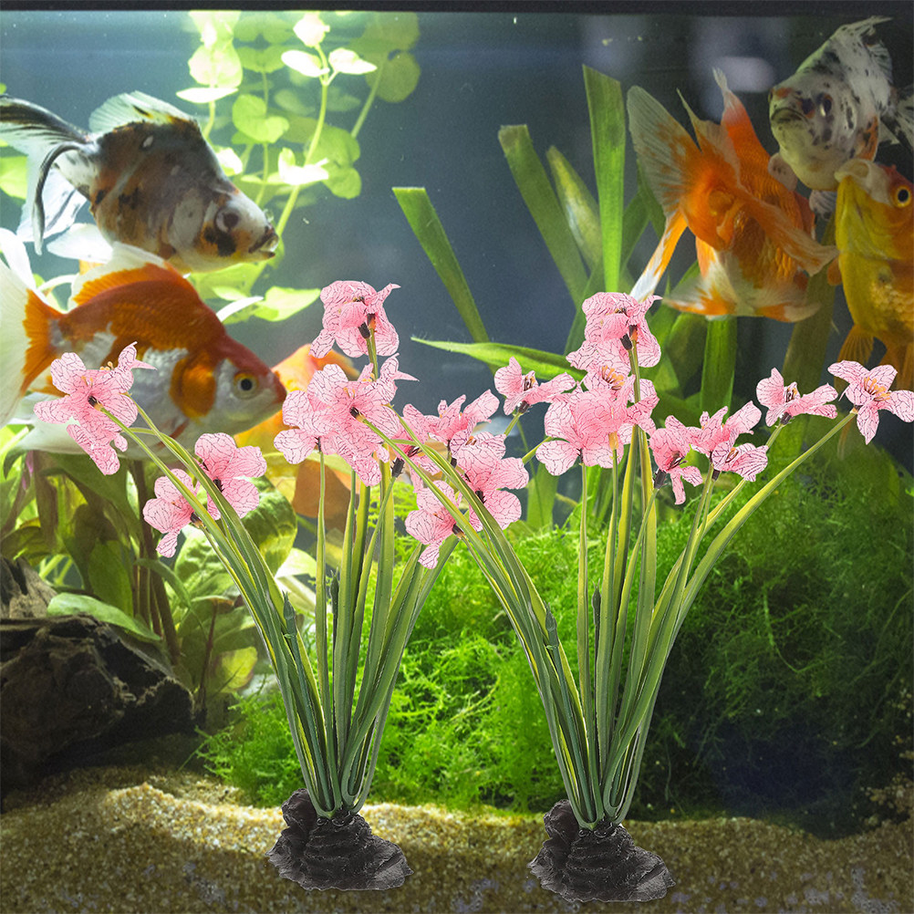 3 peças de plantas aquáticas d - Planted Aquarium For Beginners avaliação e preço