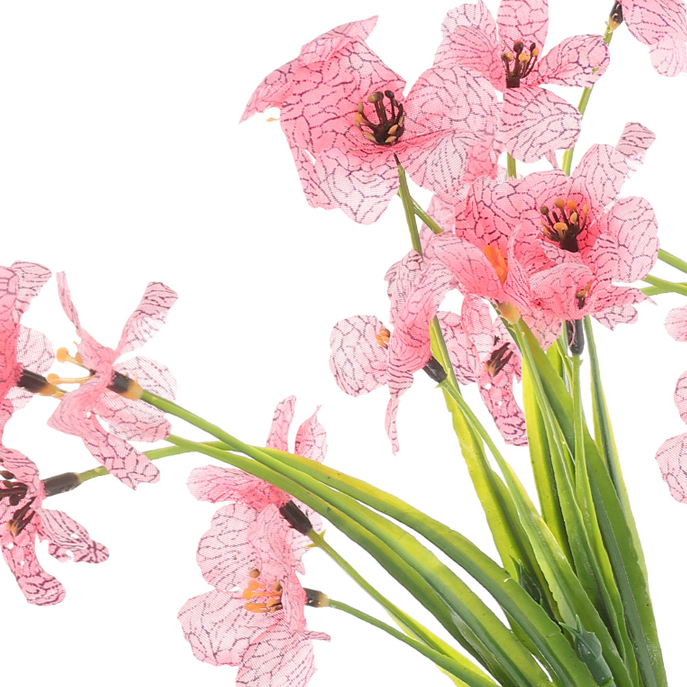 3 peças de plantas aquáticas d - Planted Aquarium For Beginners avaliação e preço
