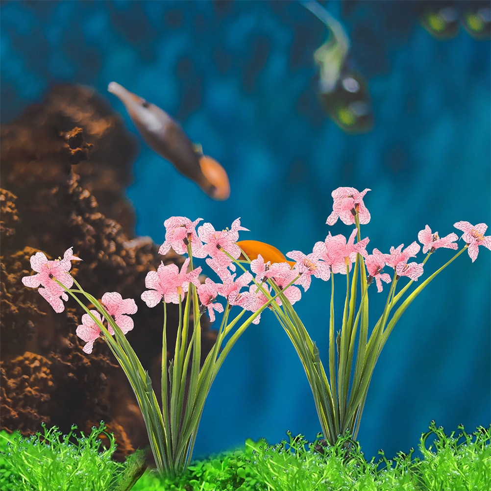 3 peças de plantas aquáticas d - Planted Aquarium For Beginners avaliação e preço